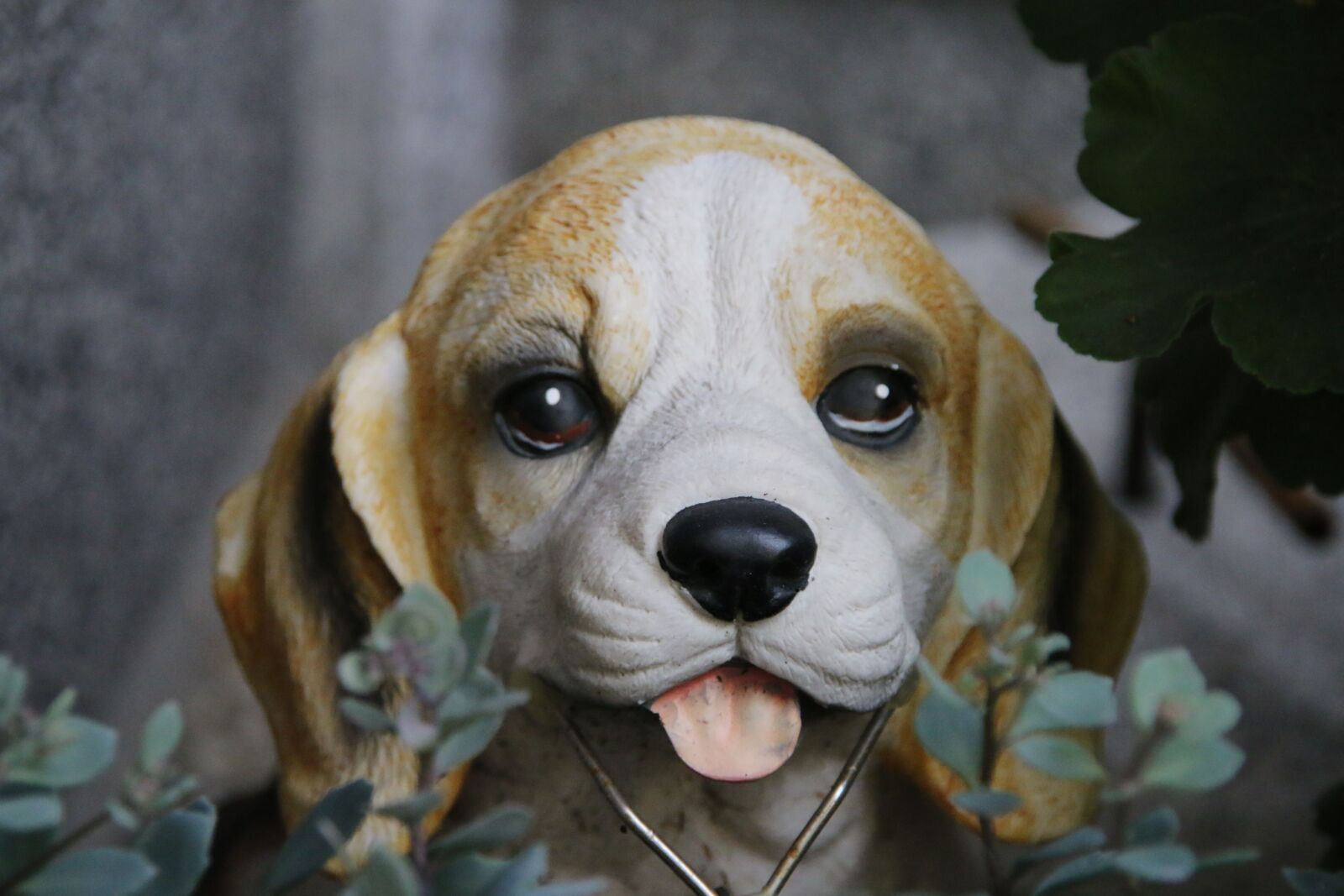 Canon EOS 70D sample photo. Gartendeko, dog, close up photography