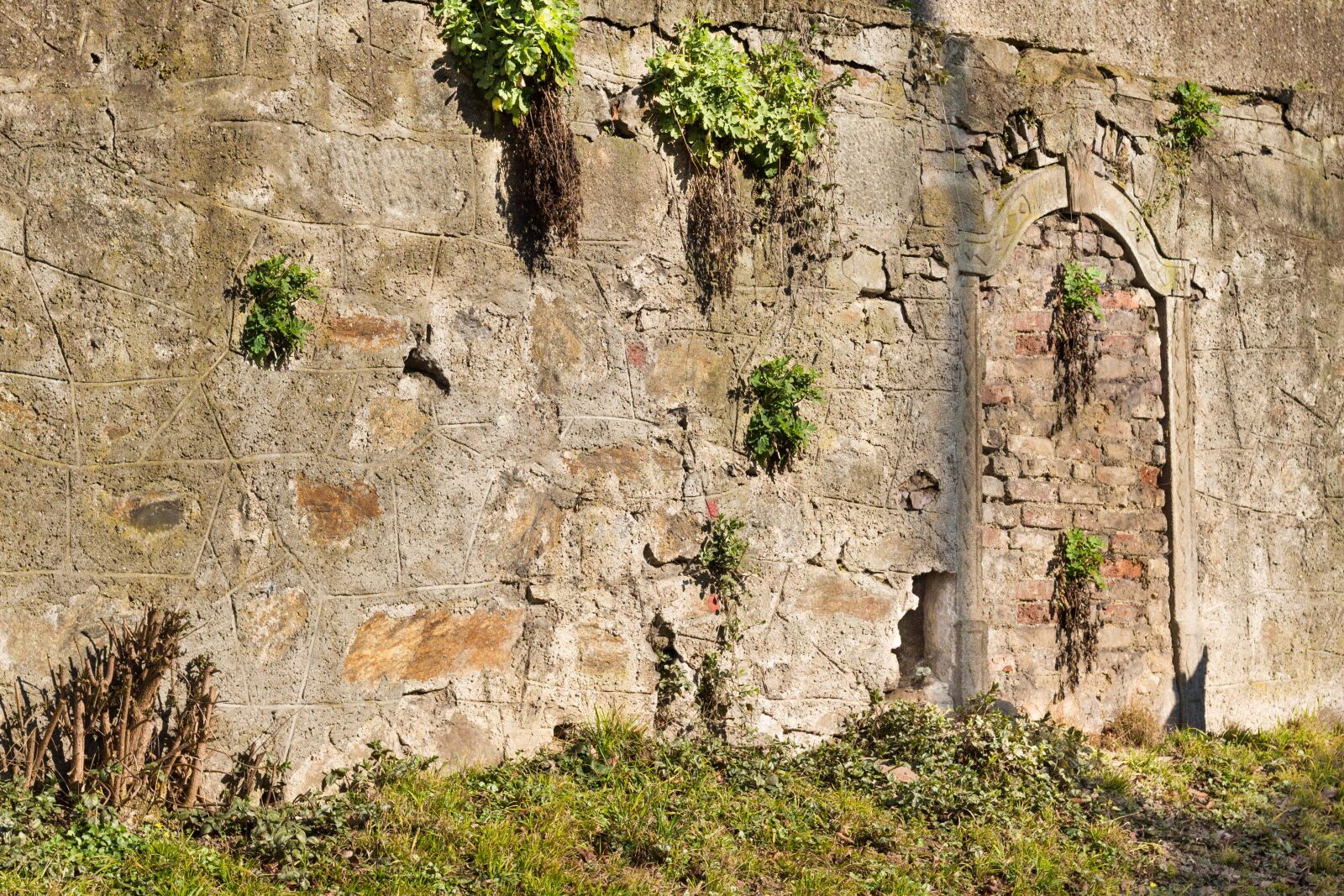Canon EOS 700D (EOS Rebel T5i / EOS Kiss X7i) + Canon EF 50mm F1.8 STM sample photo. Wall, antique, old photography