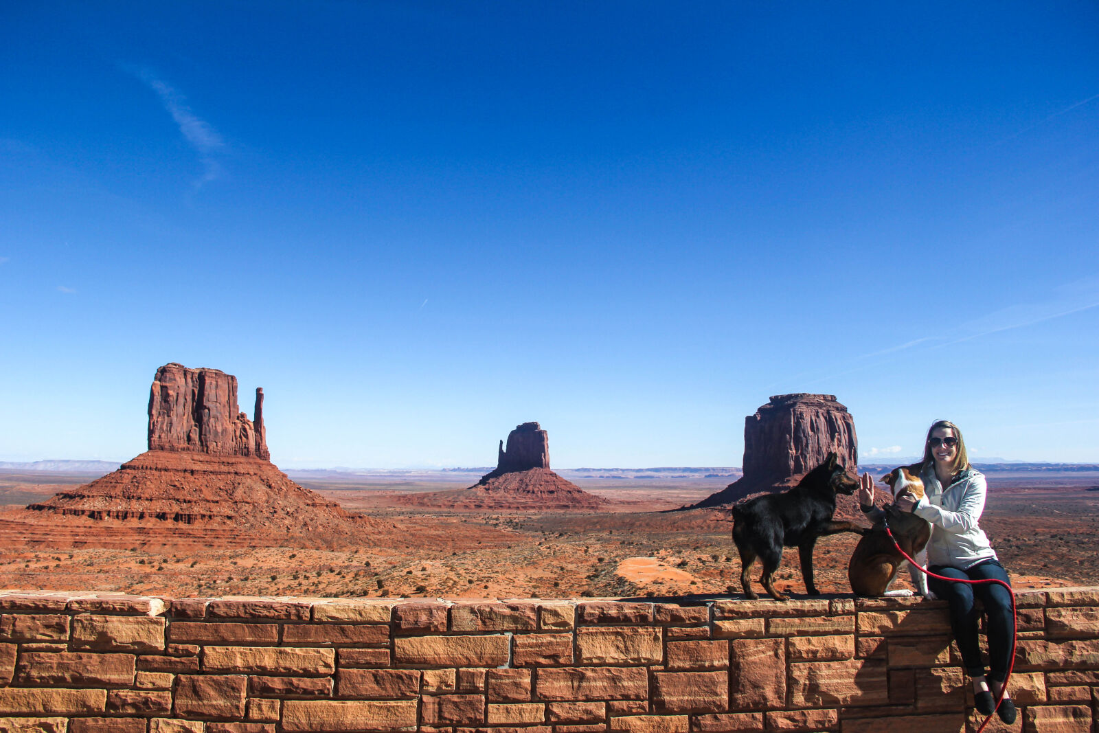 Canon EOS 60D sample photo. Arizona, beautiful, dog, funny photography