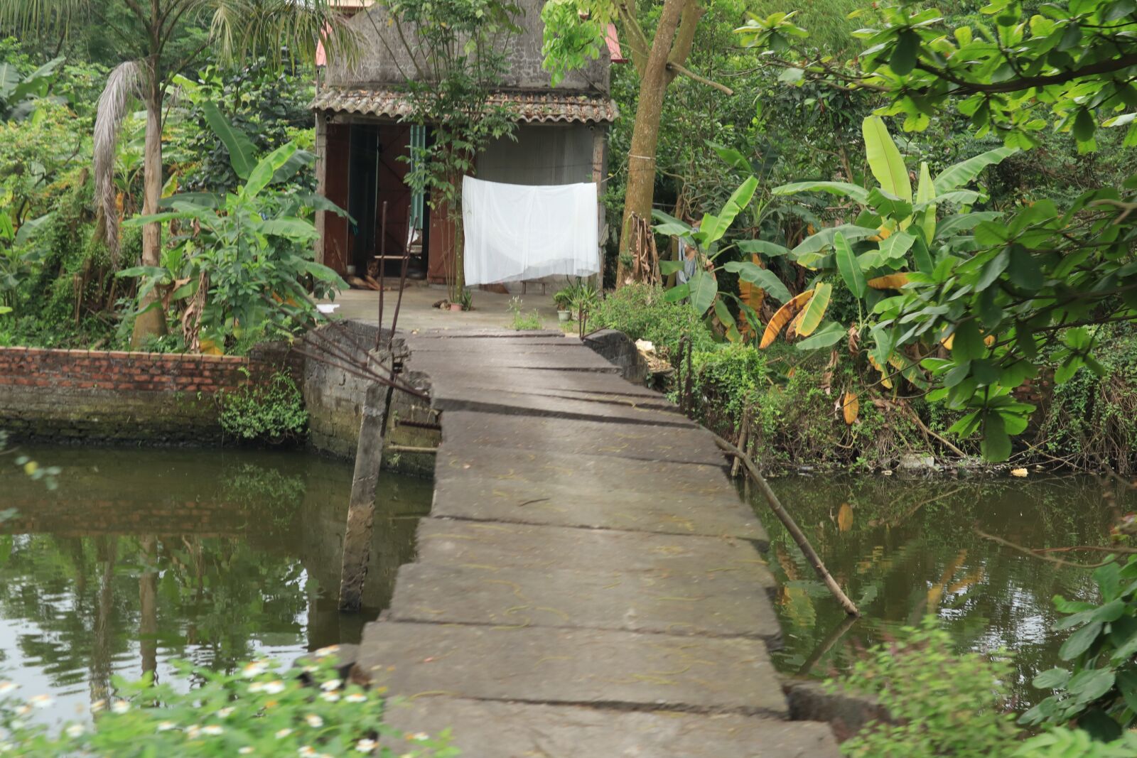 Canon EOS M50 (EOS Kiss M) sample photo. Bridge, the river, ditch photography