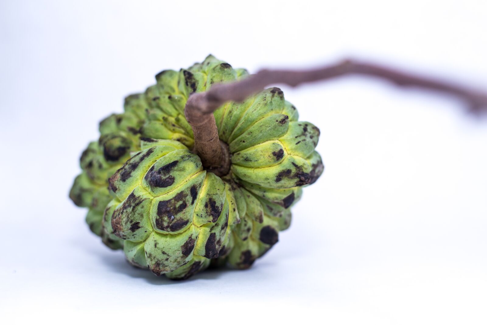 Canon EOS 6D + Canon EF 50mm F1.8 STM sample photo. Fruit of the count photography