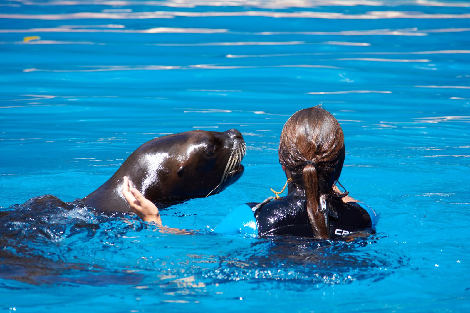 Nikon D7200 sample photo. Seal, woman, swim photography