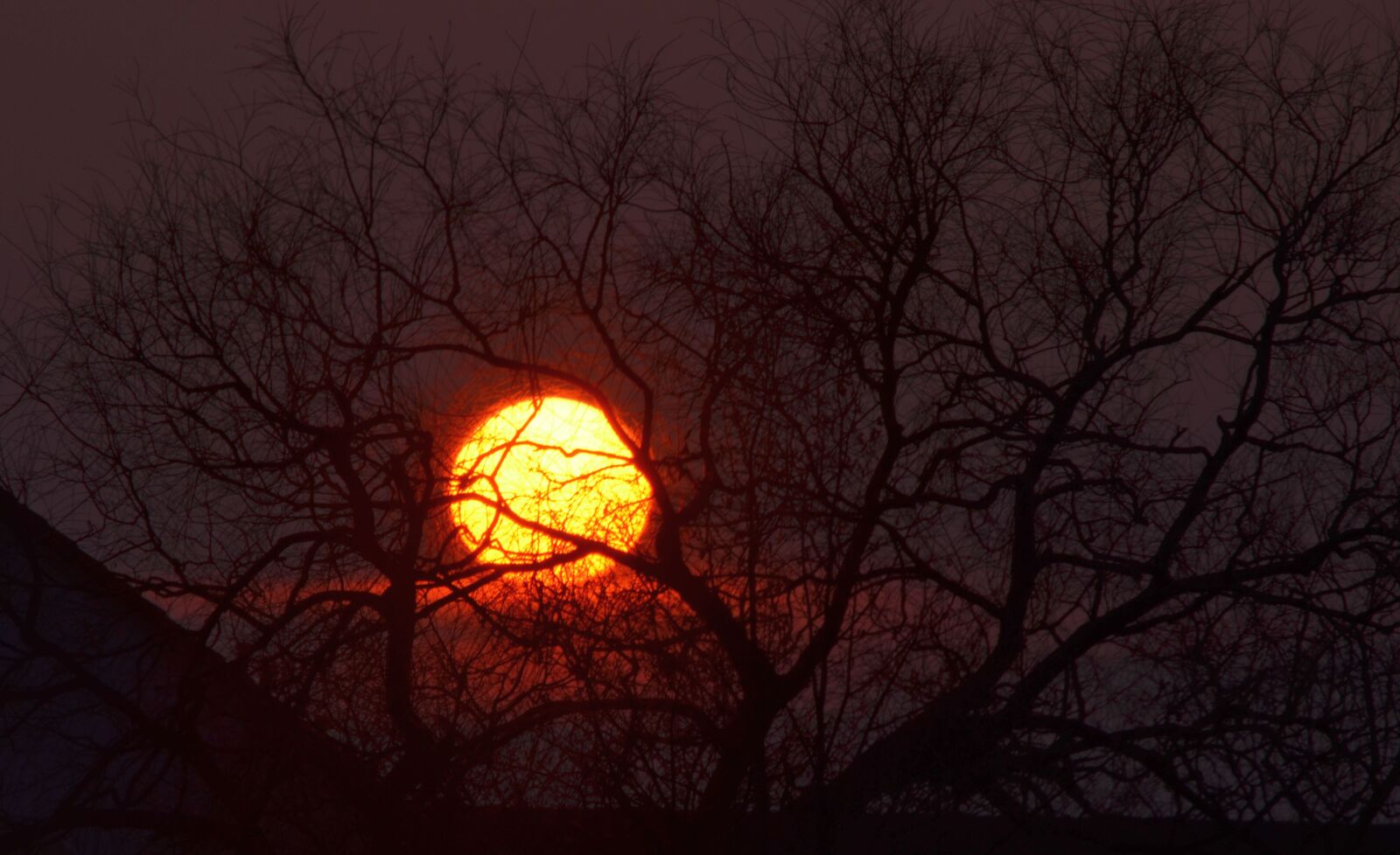 Nikon D5100 sample photo. Sun, setting, sunset photography