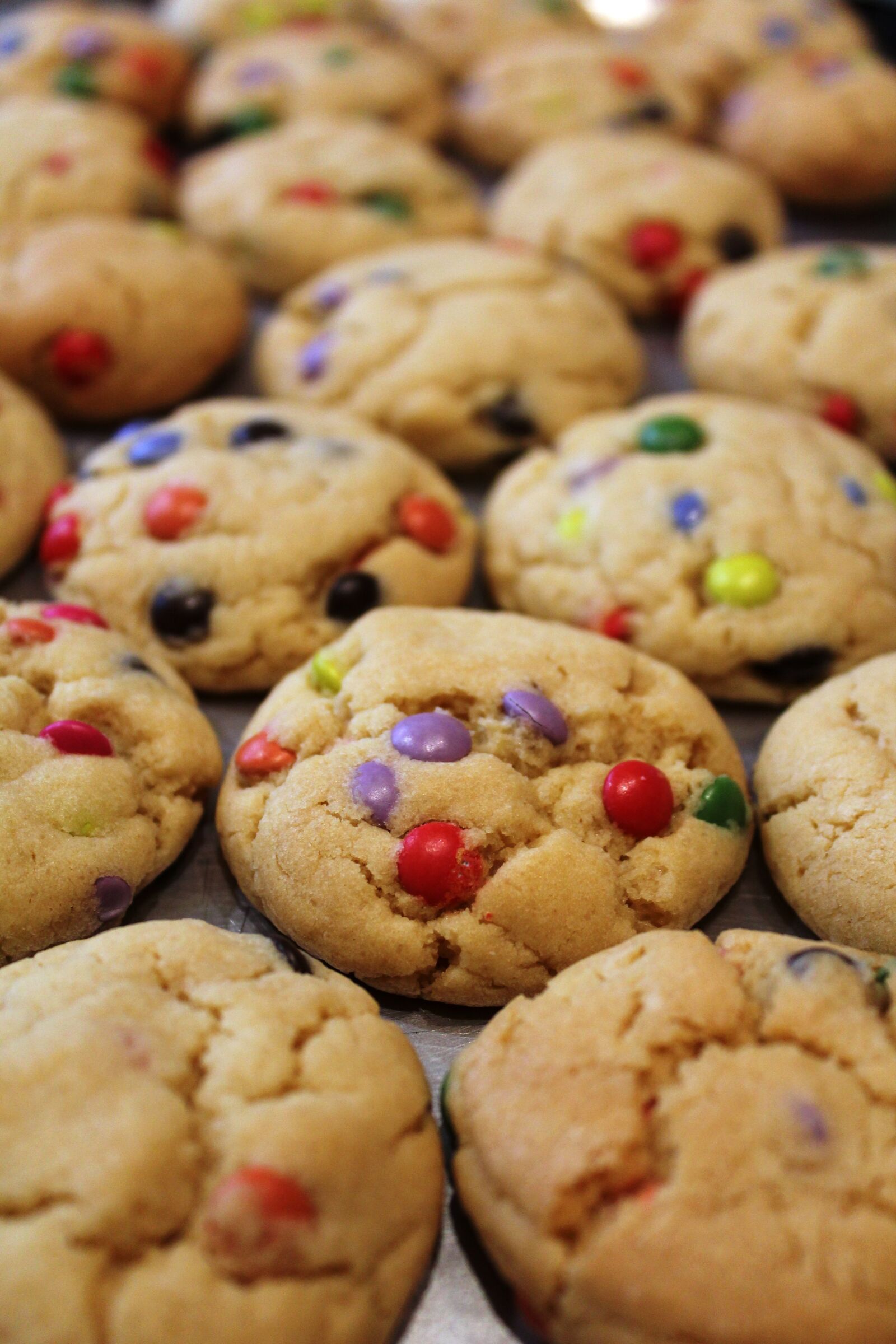 Canon EOS 1200D (EOS Rebel T5 / EOS Kiss X70 / EOS Hi) sample photo. Cookies, biscuits, bake photography