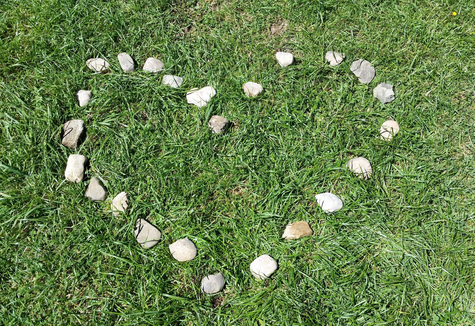Samsung Galaxy S5 sample photo. Heart, meadow, grass photography