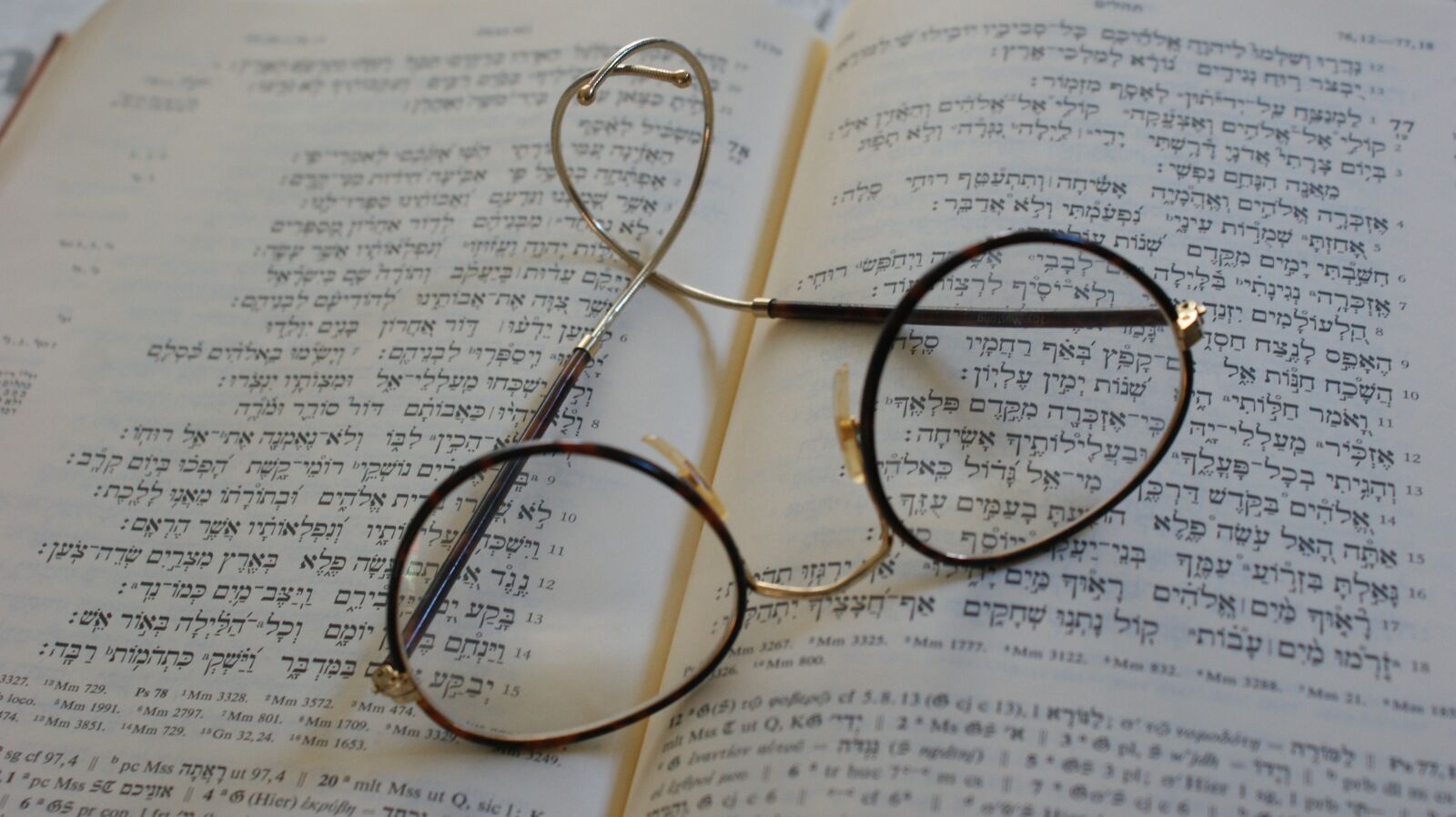 Sony Alpha DSLR-A350 sample photo. Read, book, glasses photography