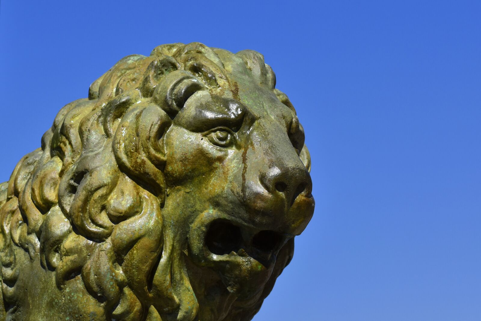 Nikon D3500 sample photo. Sculpture, lion, bronze photography