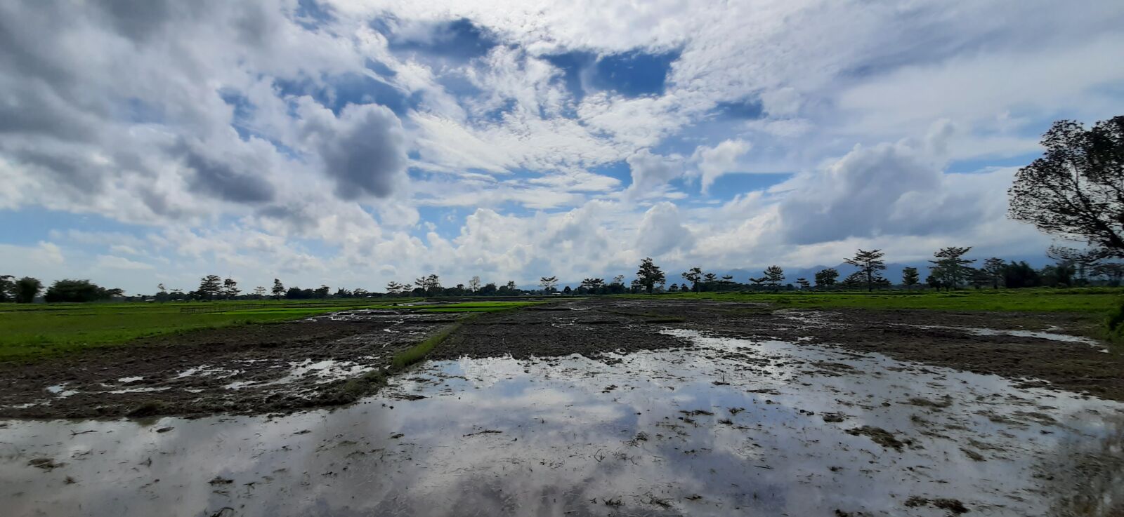 Samsung SM-A307FN sample photo. Paddy field, ploughing field photography