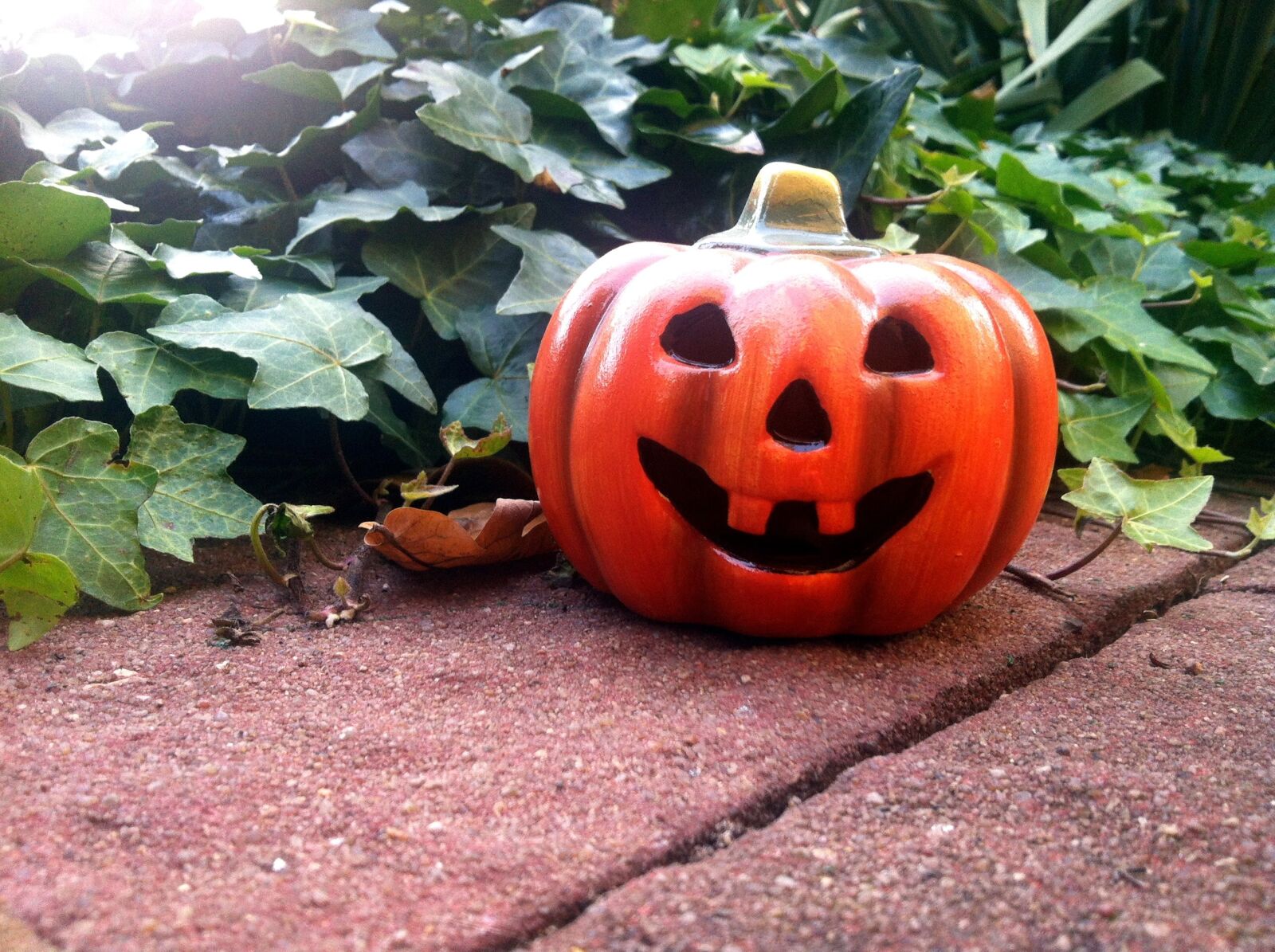 iPhone 4 back camera 3.85mm f/2.8 sample photo. Halloween, pumpkin, ivy photography