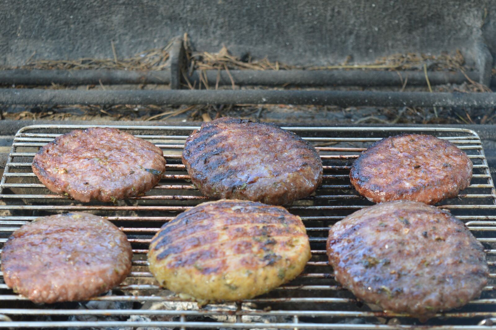 Nikon D3200 sample photo. Bbq, nature, shish kebab photography