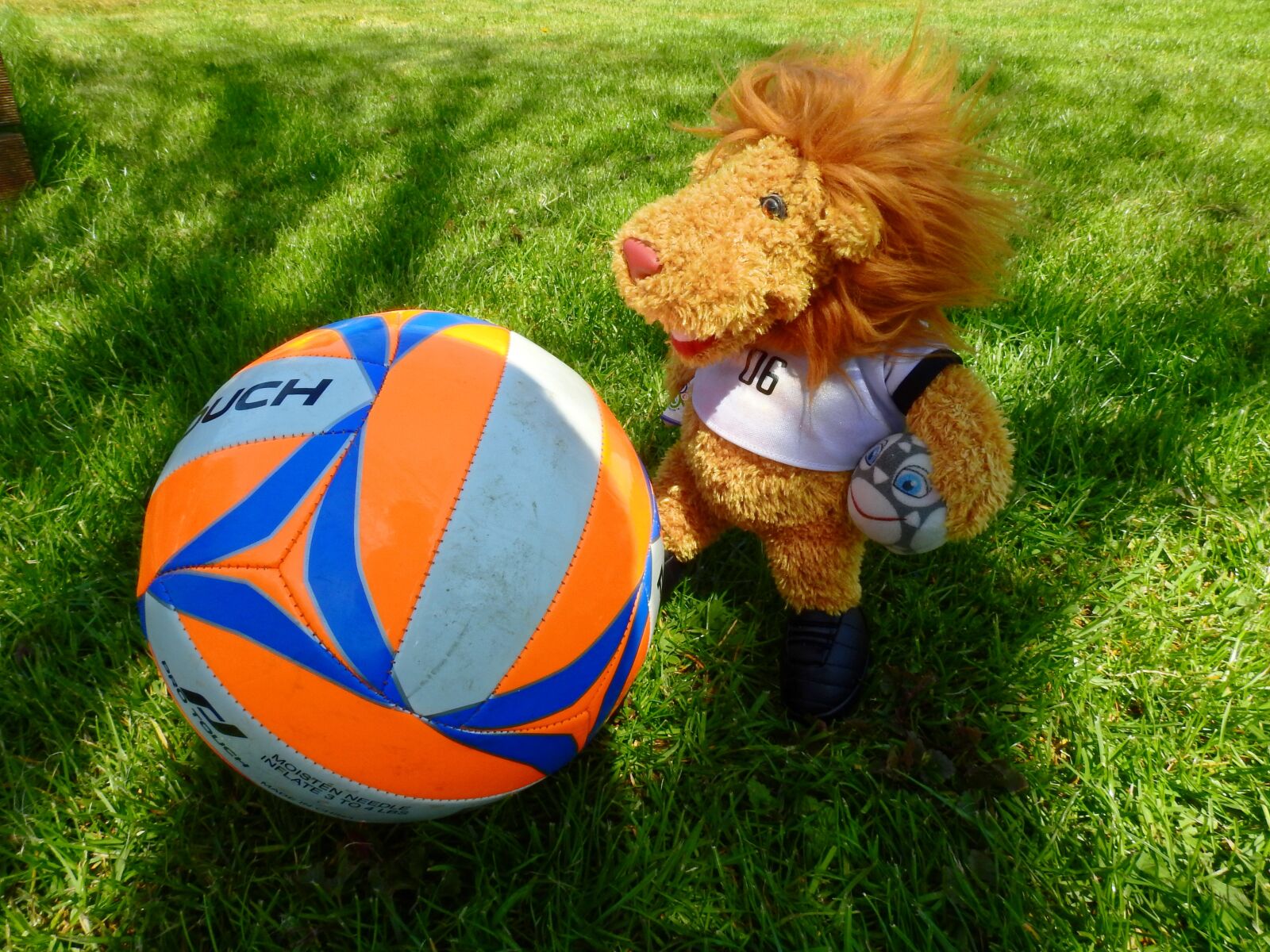 Nikon Coolpix P900 sample photo. Ball, sport, football photography
