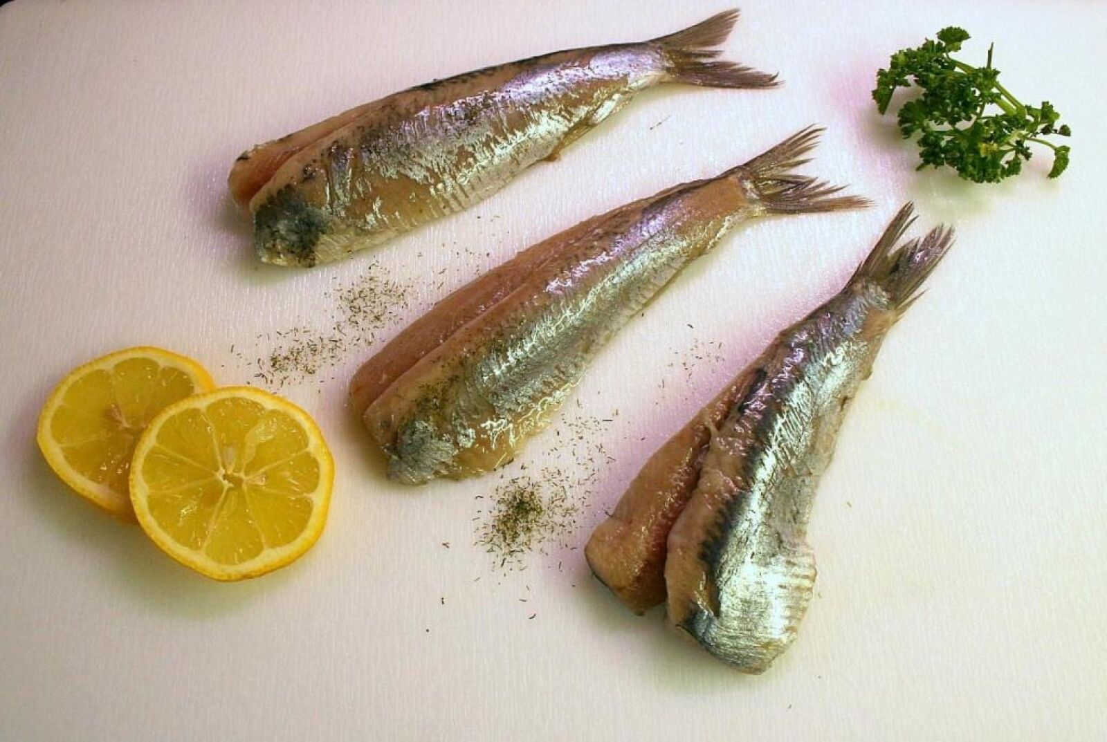 Canon EOS 30D sample photo. Maties, herring, fish photography