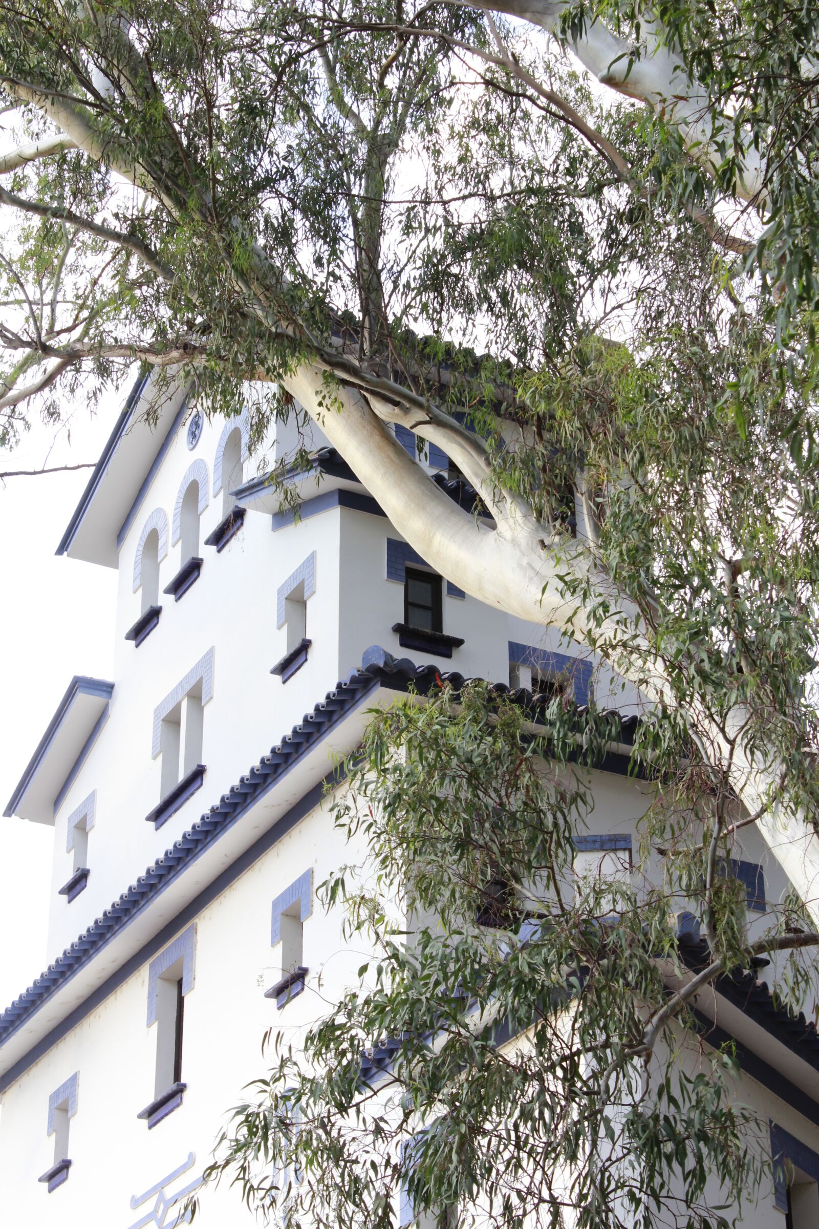 Canon EOS 600D (Rebel EOS T3i / EOS Kiss X5) sample photo. Building, san vicente, ll photography
