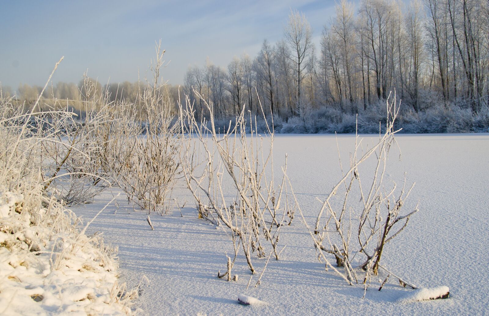 Sony Alpha DSLR-A850 sample photo. Lake, morning, november photography