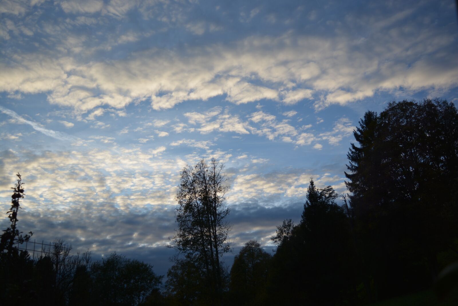 Nikon D5200 sample photo. Nature, tree, sky photography