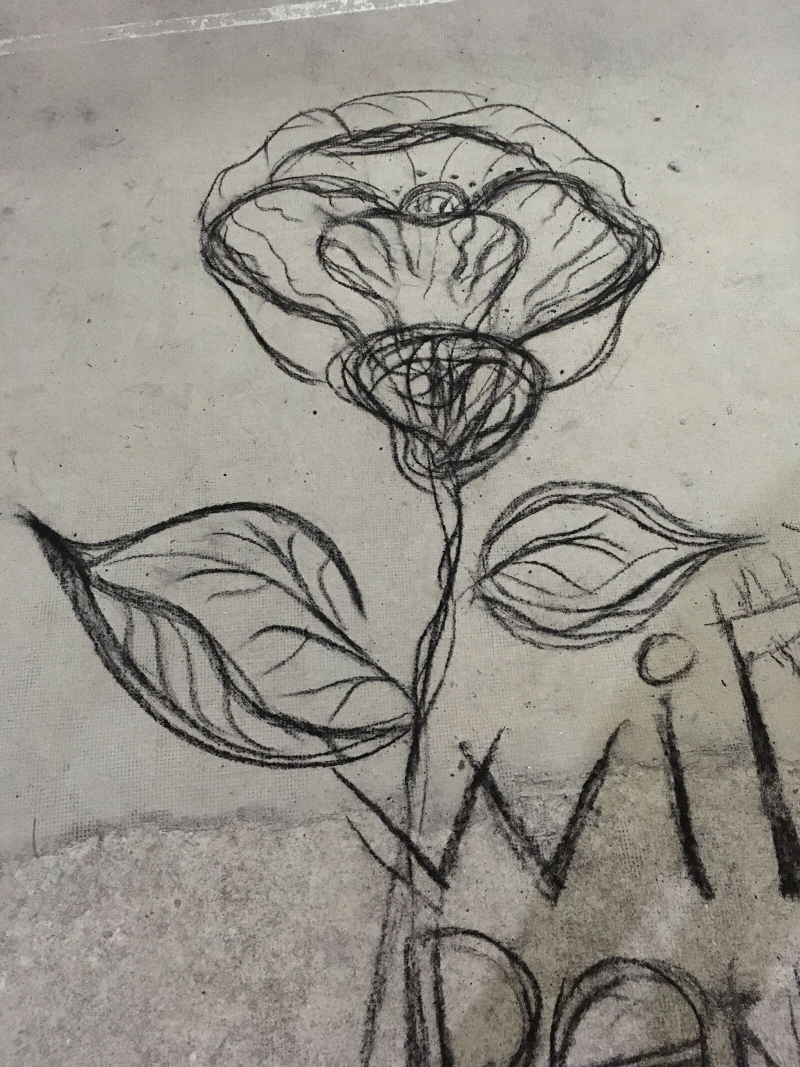 iPhone SE back camera 4.15mm f/2.2 sample photo. Black flower hand drawing photography