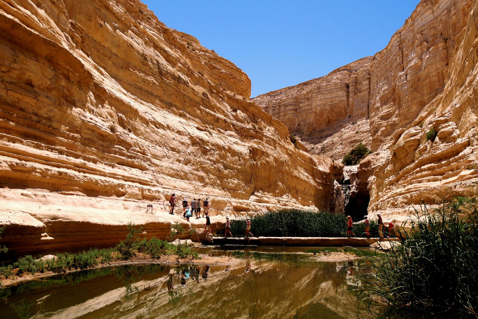 Panasonic Lumix DMC-G85 (Lumix DMC-G80) sample photo. Israel, desert, landscape photography