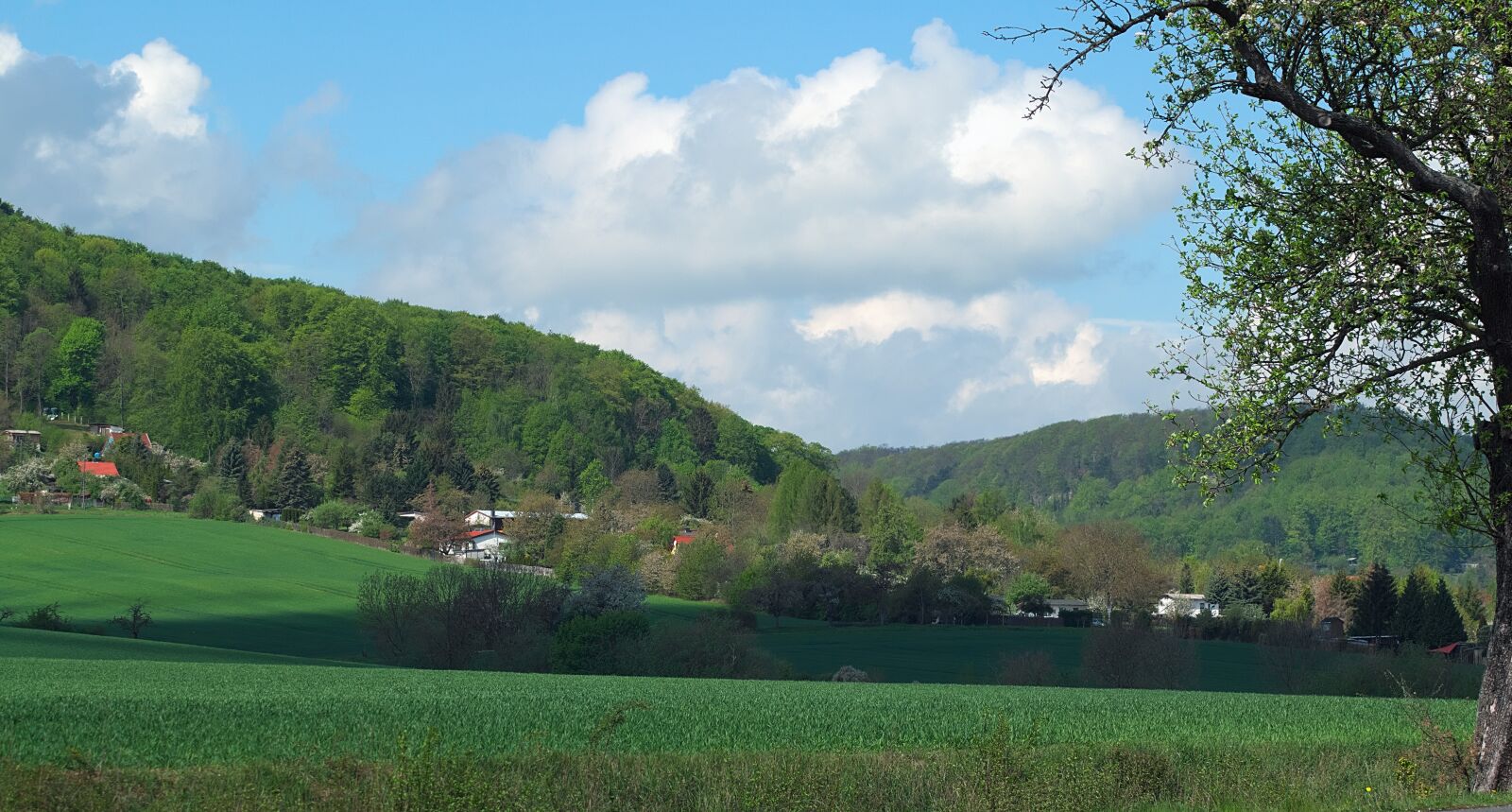 Nikon D3300 sample photo. Landscape, gardens, fields photography