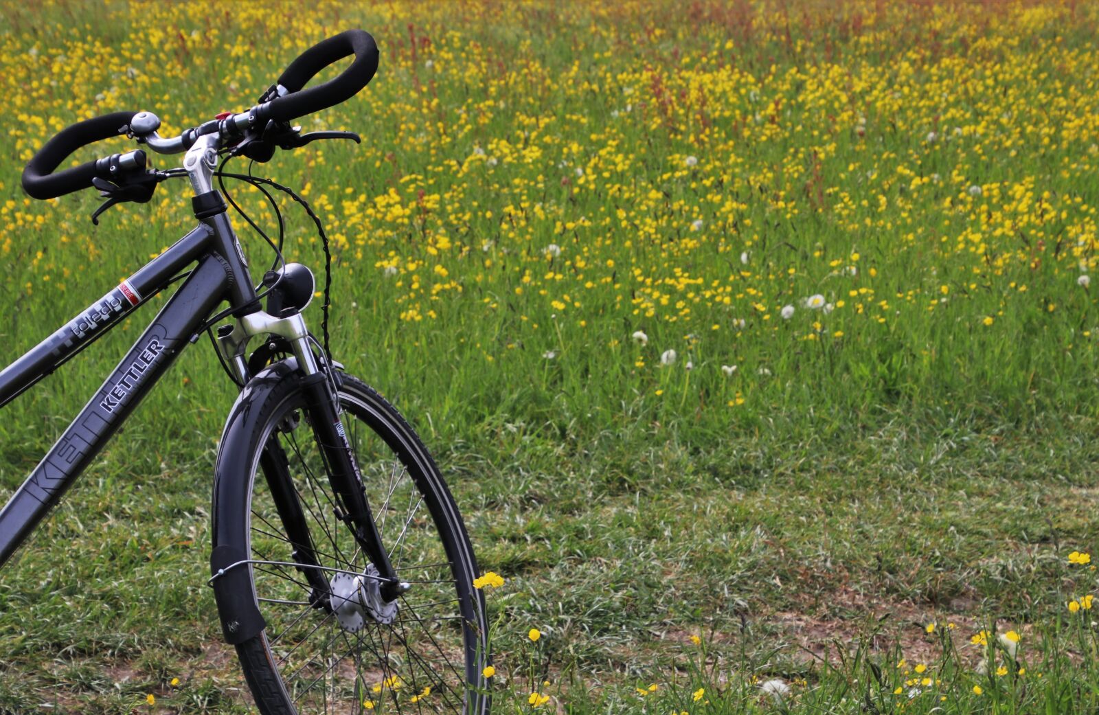 Canon EOS 80D sample photo. Bike, nuns, meadow photography