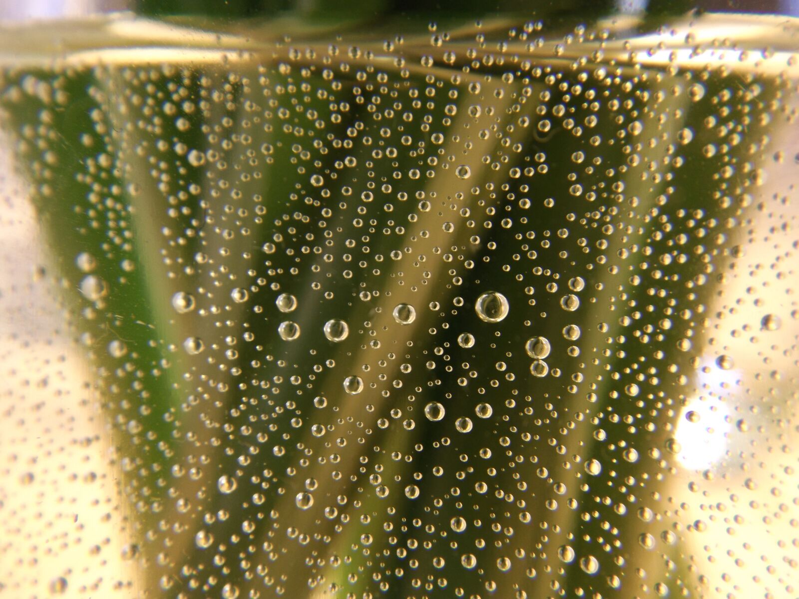 Fujifilm FinePix S4800 sample photo. Bubbles, water, green photography