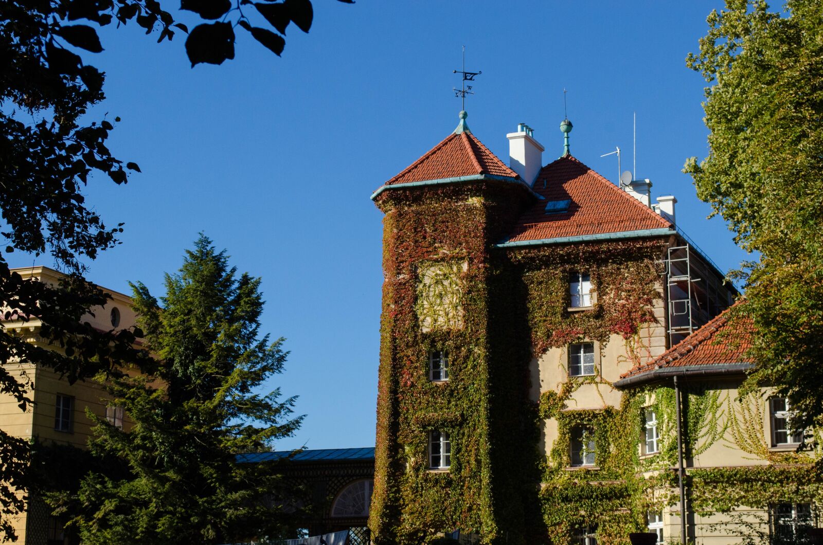 Nikon D5100 sample photo. Vines, castle, monument photography