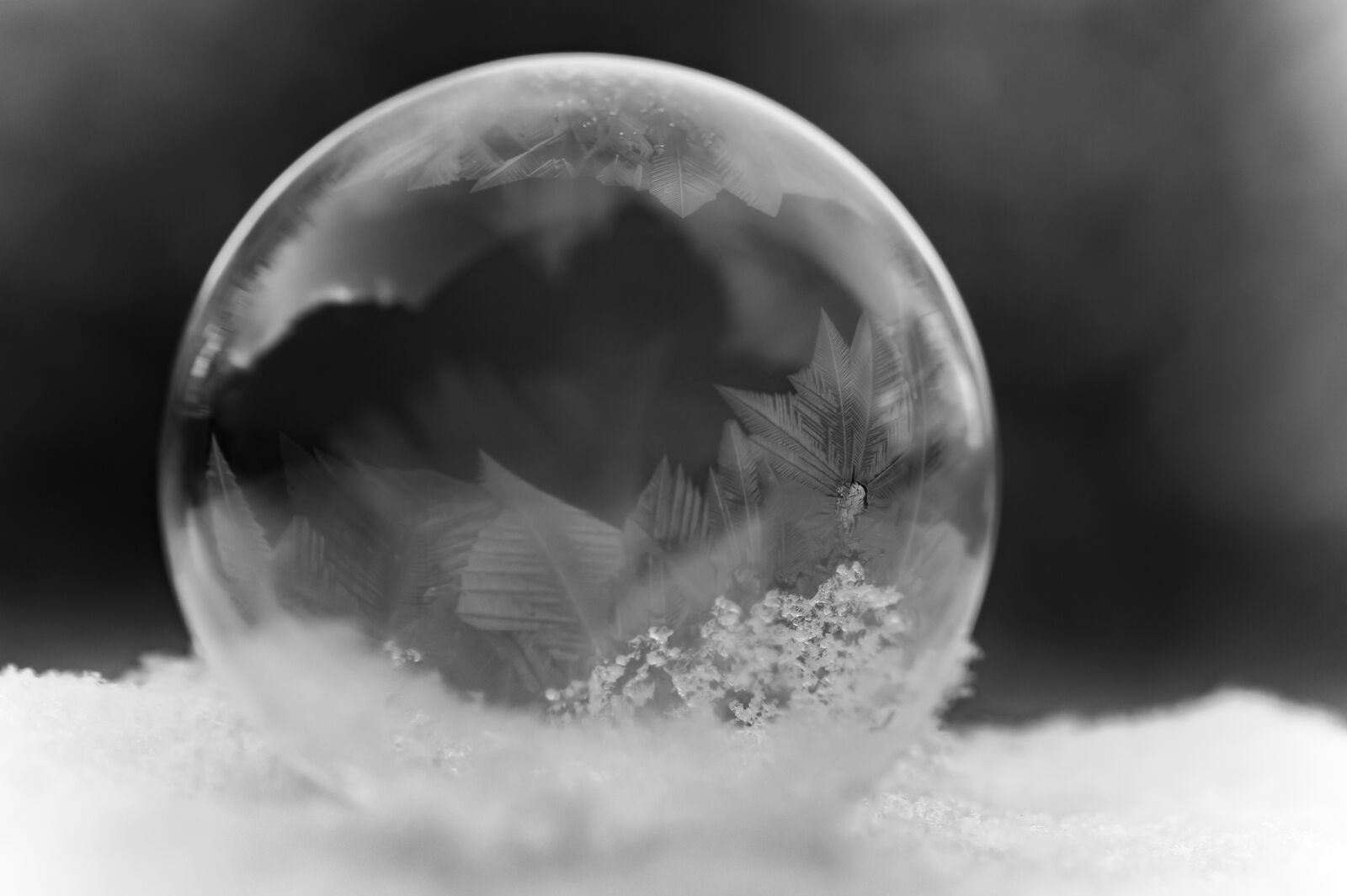 Canon EOS 70D sample photo. Eiskristalle, winter, frozen photography