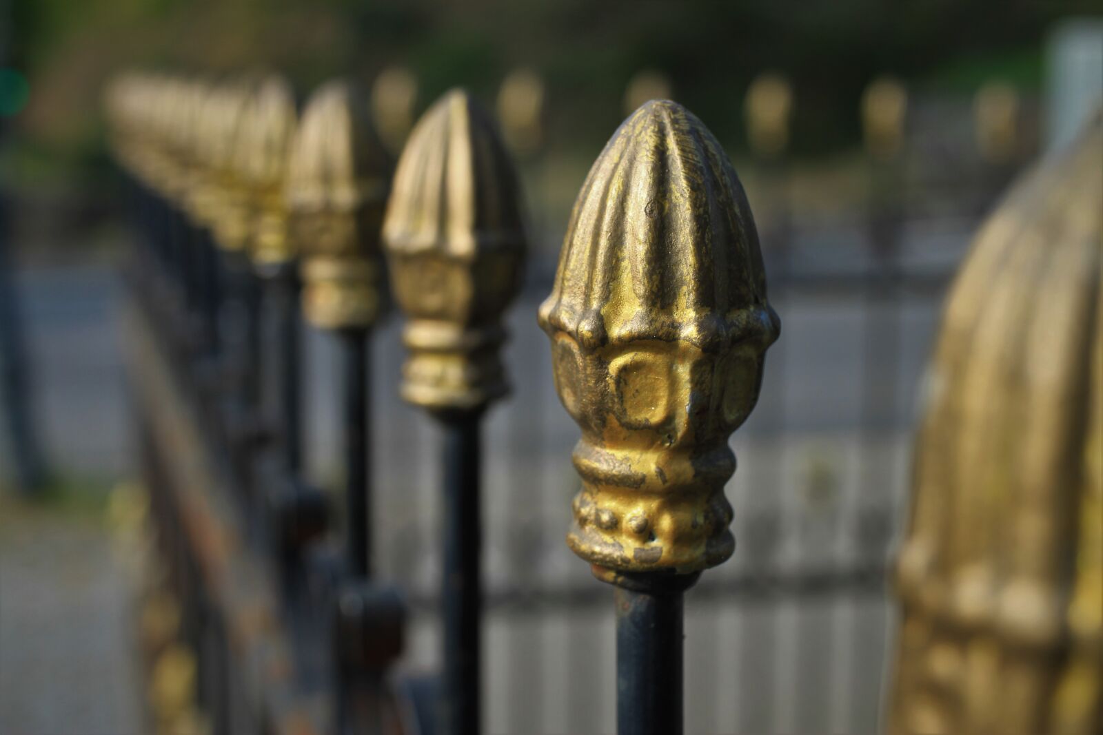 Canon EF-S 35mm F2.8 Macro IS STM sample photo. Fence, wrought iron, garden photography