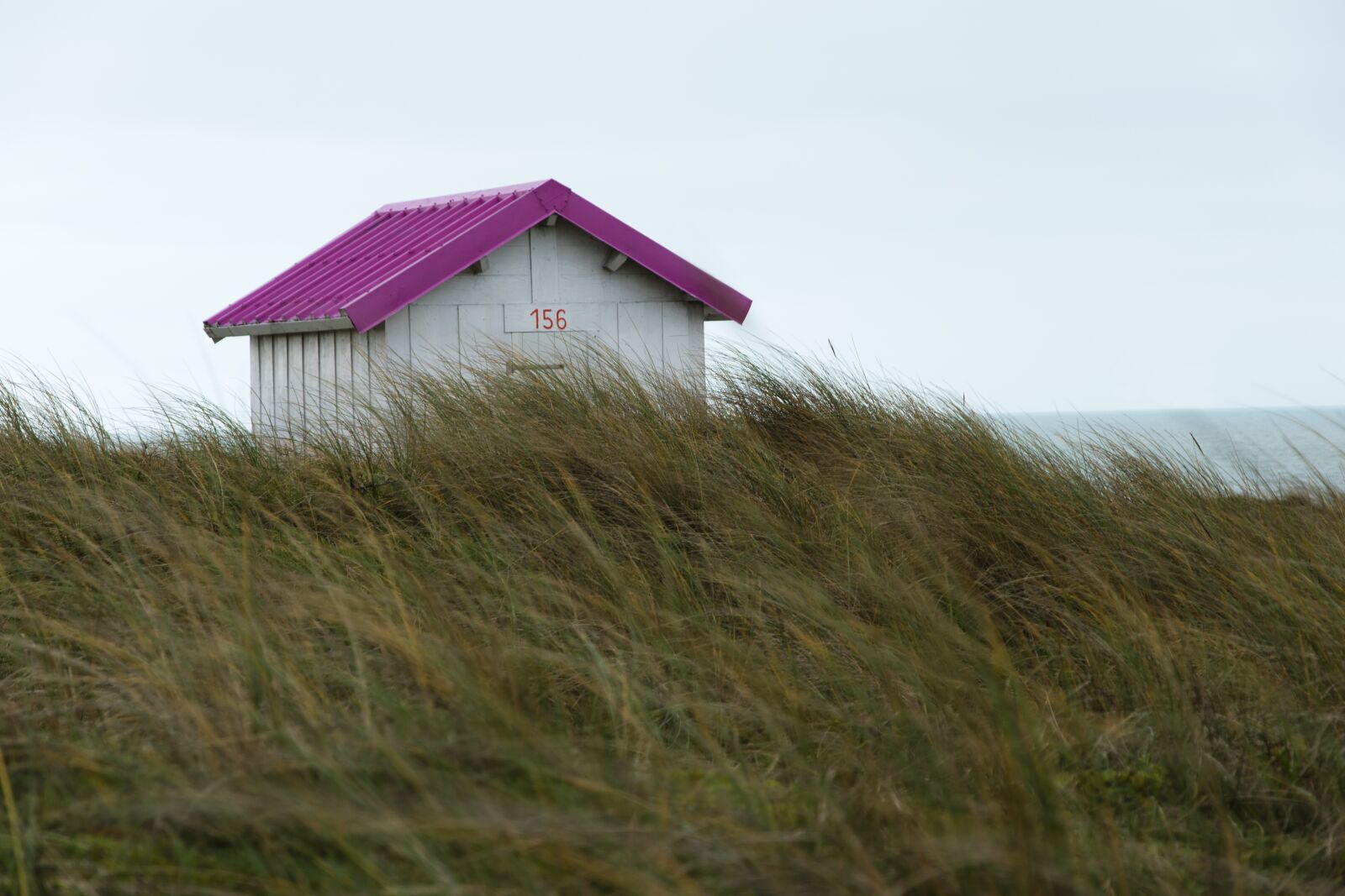 Nikon D5600 sample photo. Cabin, sea, holiday photography