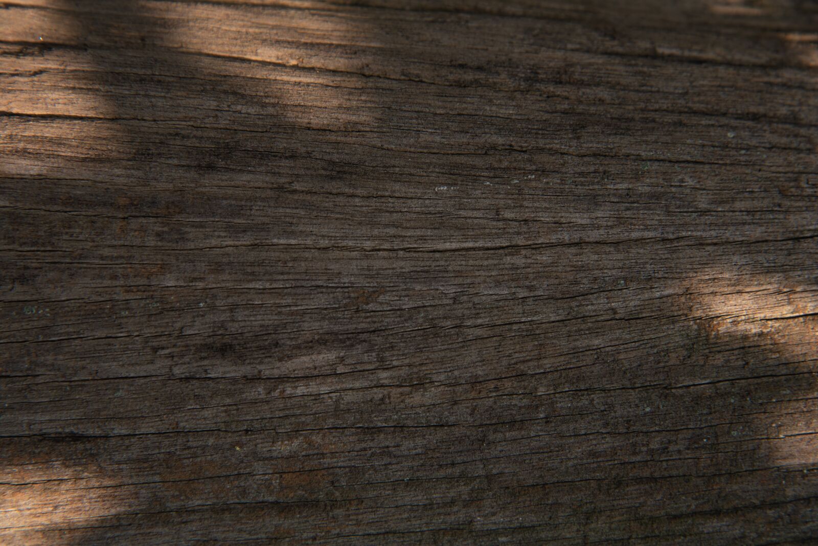 Nikon D750 sample photo. Texture, wood, pattern photography