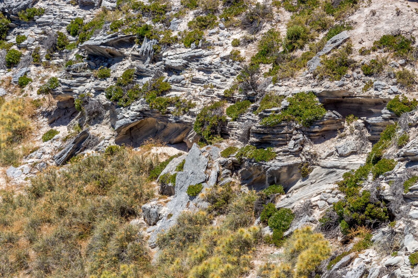 Canon EOS 700D (EOS Rebel T5i / EOS Kiss X7i) sample photo. Bay, rottnest island, rottnest photography