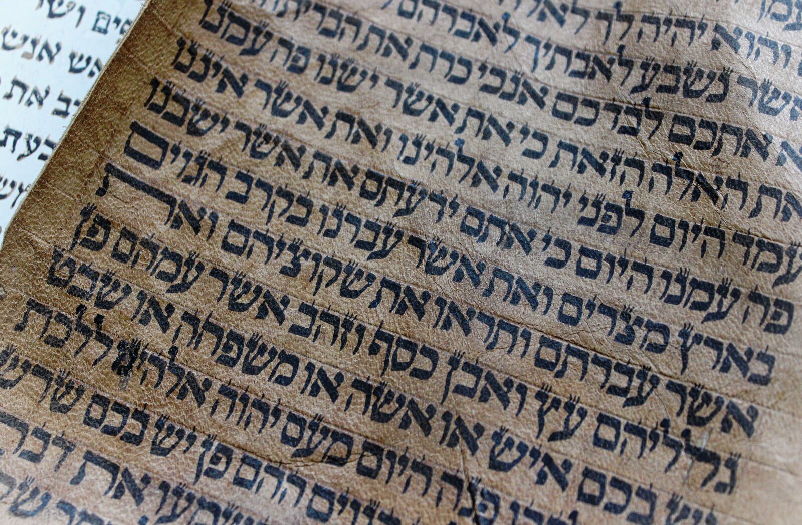 Canon EOS 600D (Rebel EOS T3i / EOS Kiss X5) sample photo. Alphabet, bible, book photography