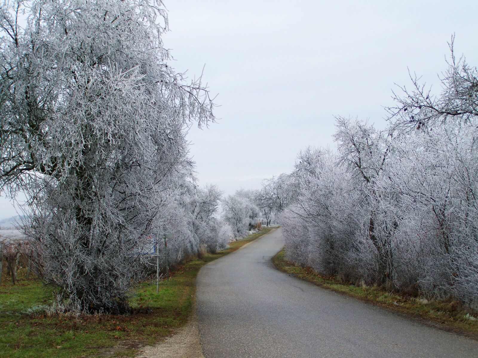 Kodak EASYSHARE ZD710 ZOOM DIGITAL CAMERA sample photo. Winter landscape, frosted alley photography