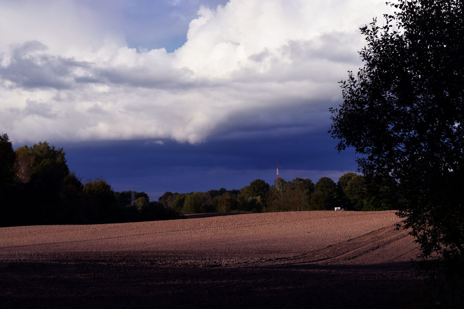 Nikon D3300 sample photo. Blue, sky, clouds, forest photography