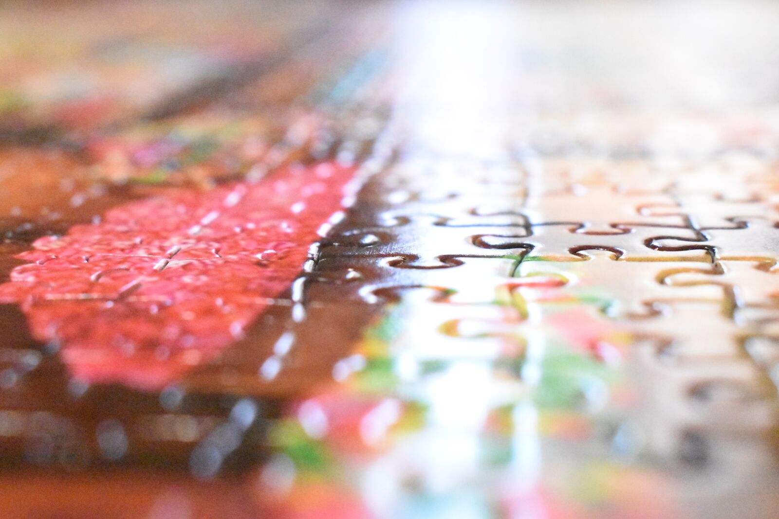 Nikon D3500 sample photo. Parts, rosa, puzzle photography