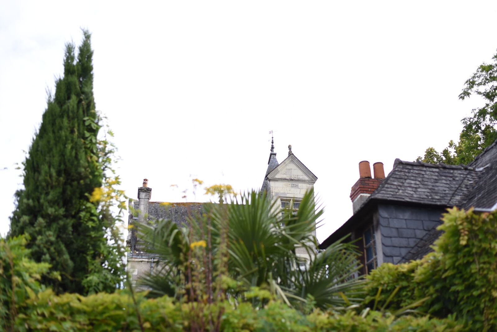 Nikon D750 sample photo. House, view, nature photography