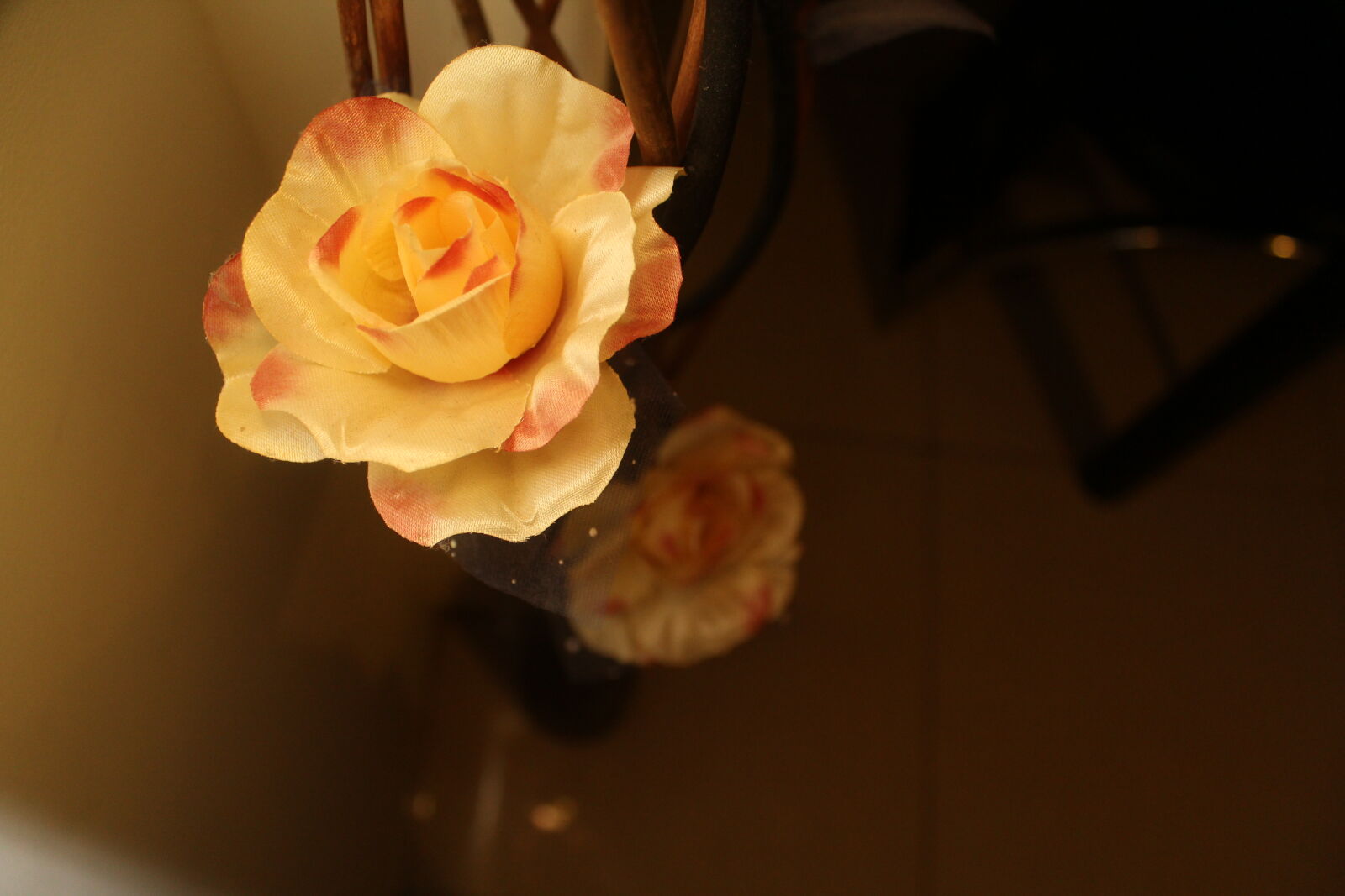 Canon EOS 1200D (EOS Rebel T5 / EOS Kiss X70 / EOS Hi) sample photo. Flowers, yellow, flowers photography
