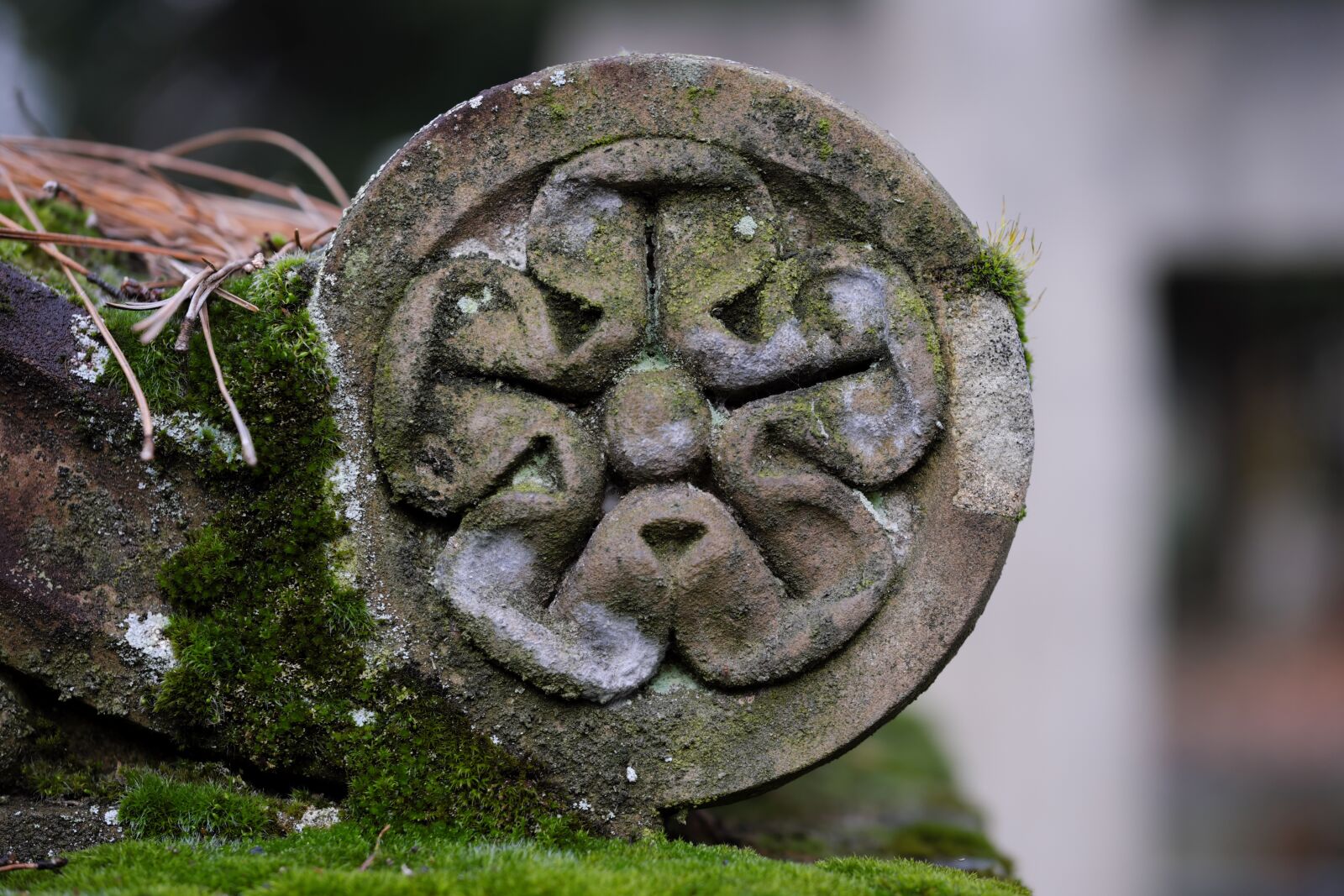Fujifilm X-T2 + Fujifilm XF 80mm F2.8 R LM OIS WR Macro sample photo. Sculpture, stone, moss photography