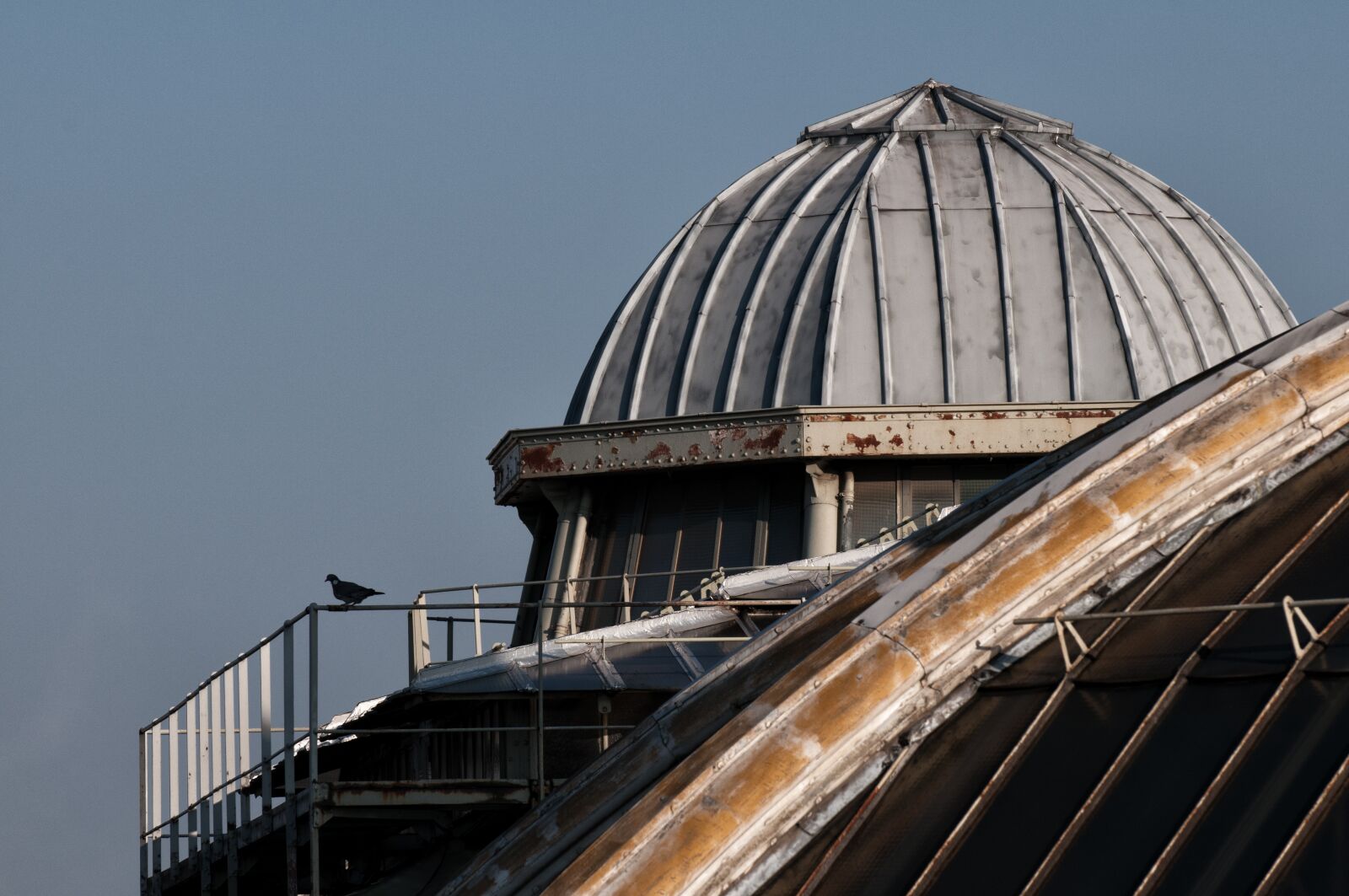 Nikon D300 sample photo. Paris, roofs, fireplaces photography