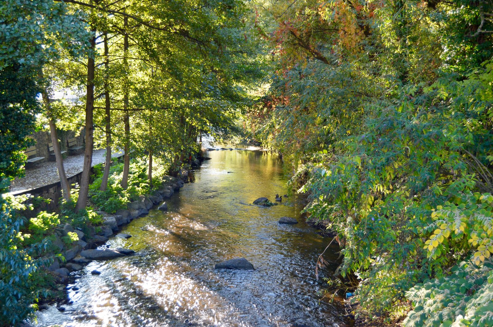 Nikon D3200 sample photo. Stream, village, germany photography