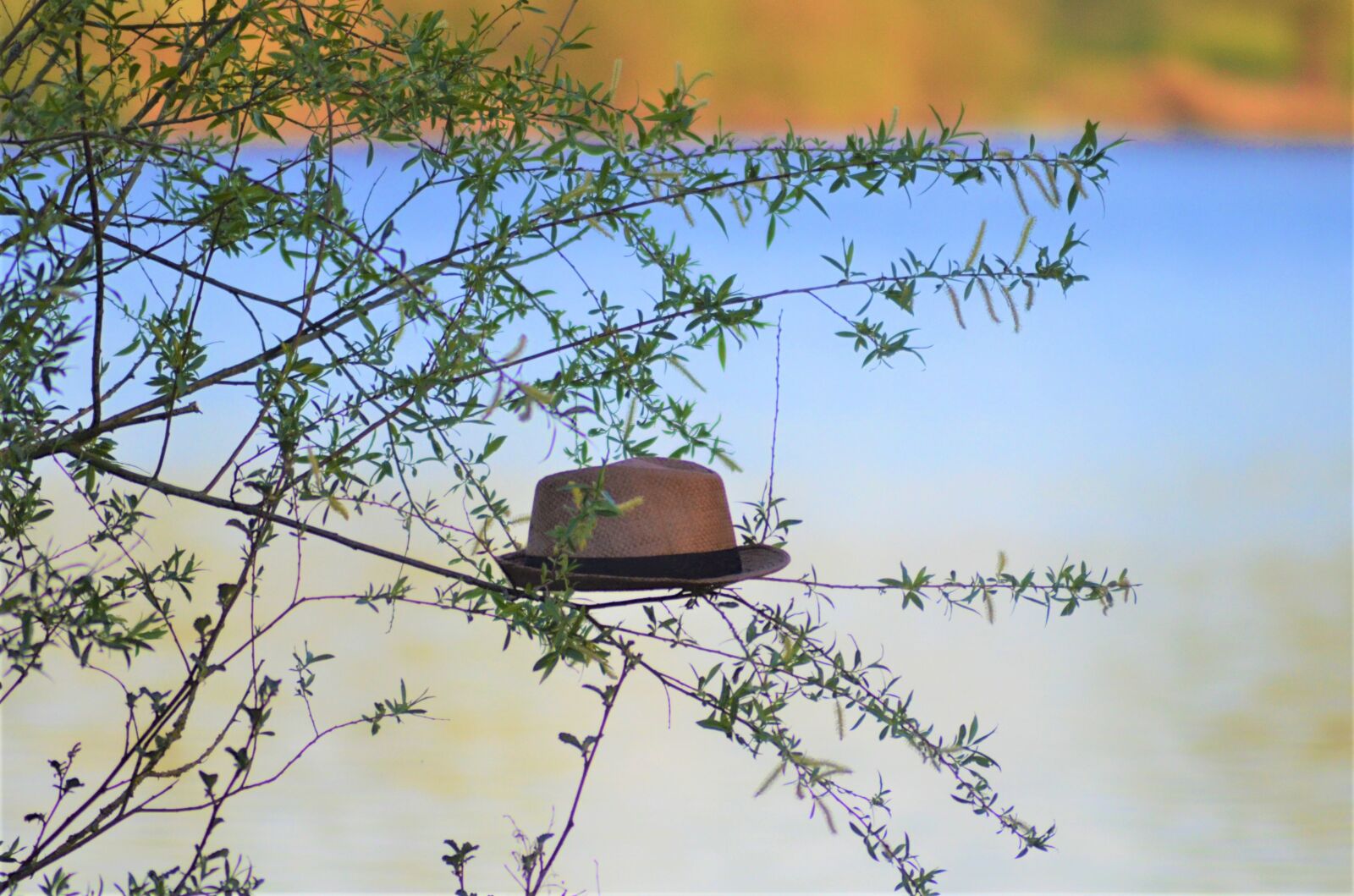 Nikon D5100 sample photo. Straw hat, parcel shelf photography
