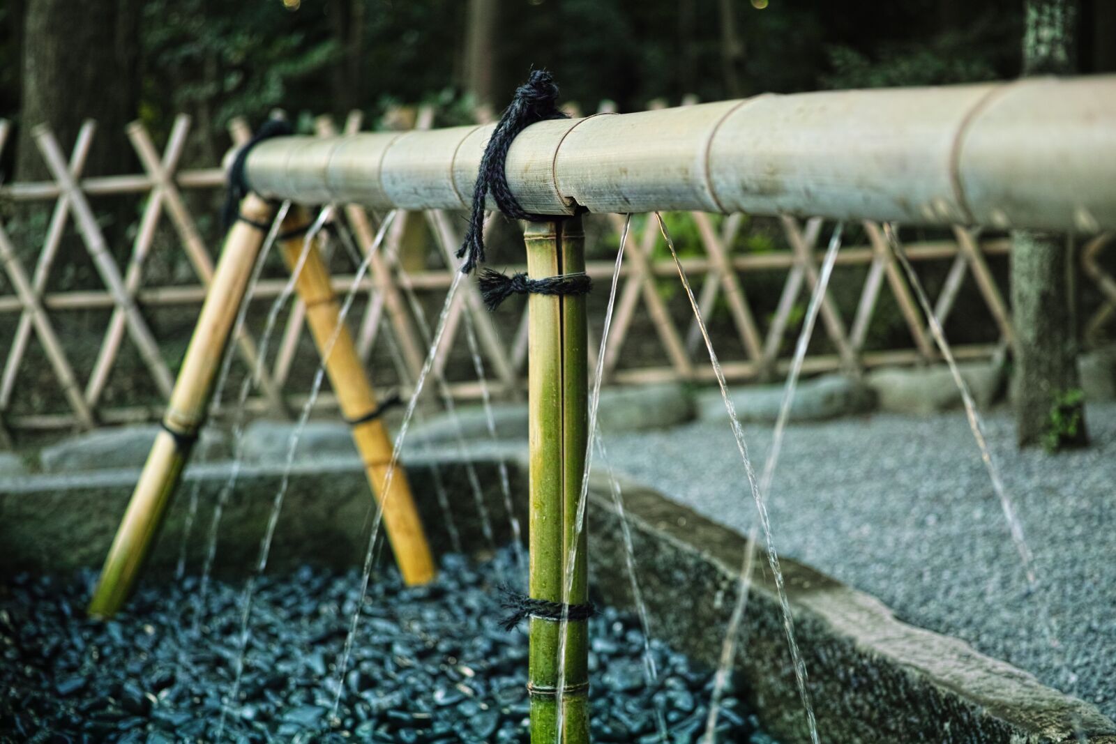 Sigma DP3 Merrill sample photo. Bamboo, objets d'art, shrine photography