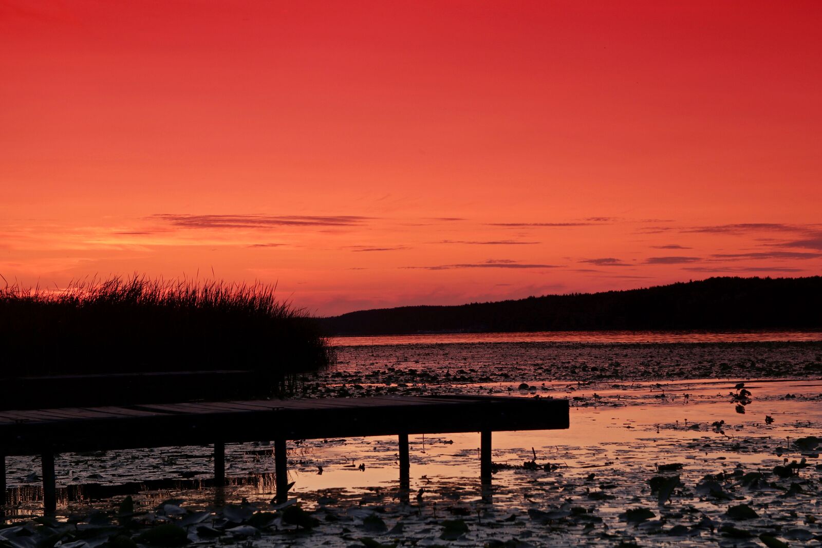 Canon EOS 80D sample photo. Sunset, the pier, sky photography