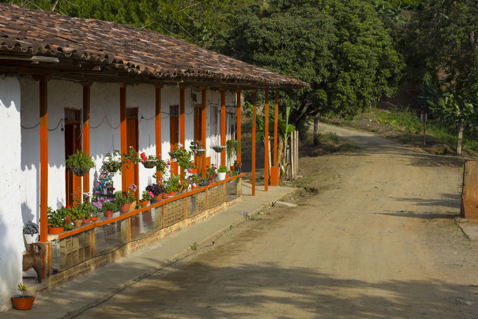 Nikon D7200 sample photo. Colombia, rural photography
