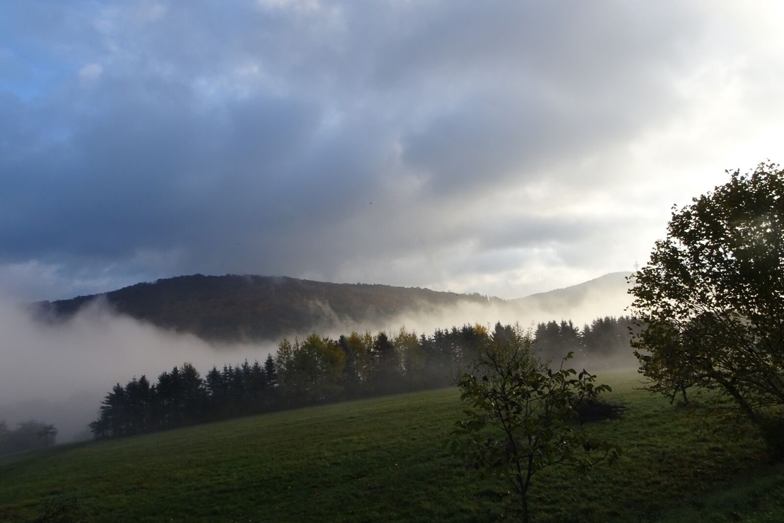 Sony Cyber-shot DSC-HX90V sample photo. Landscape, forest, nature photography