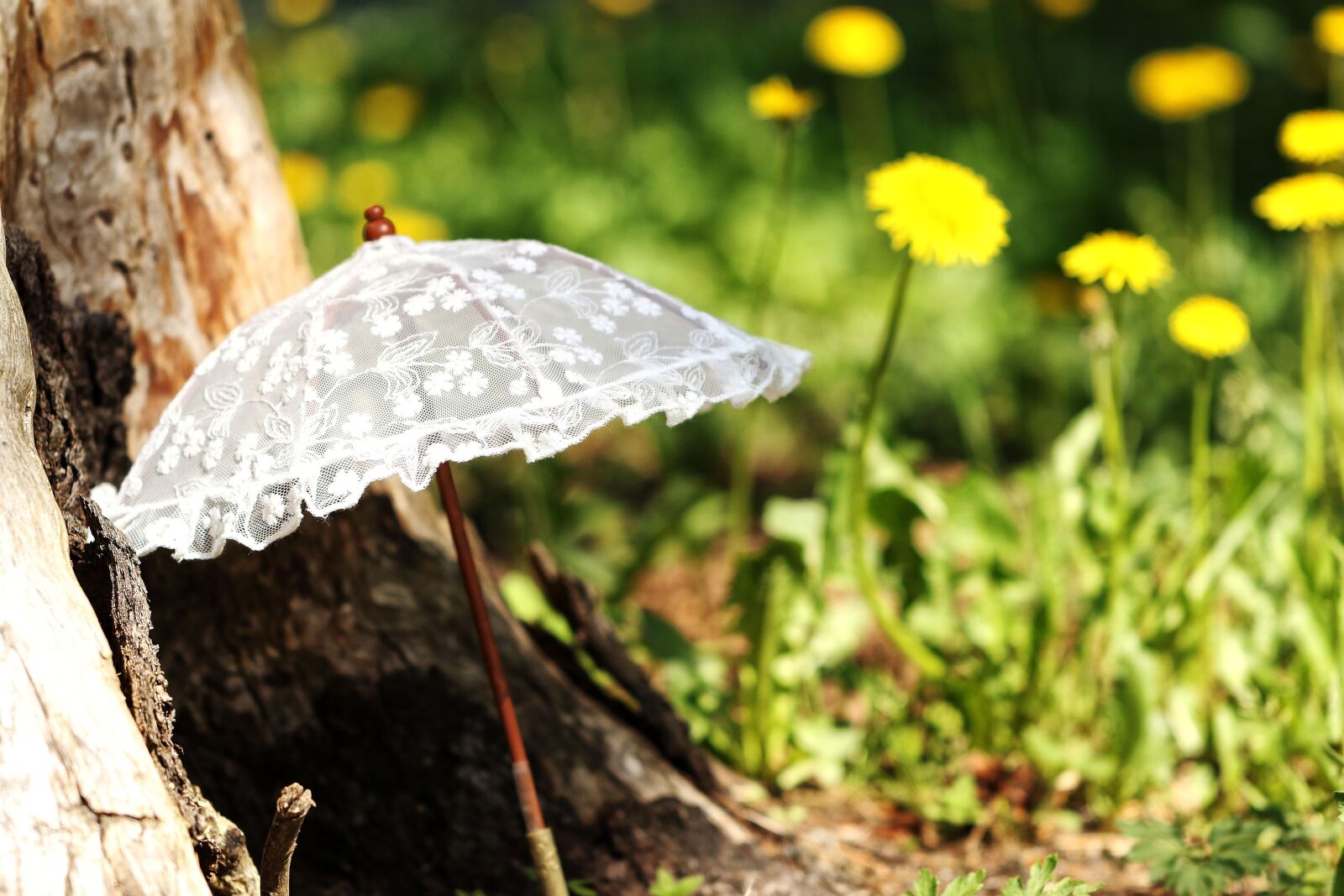 Canon EOS 7D Mark II sample photo. Parasol, sun, summer photography