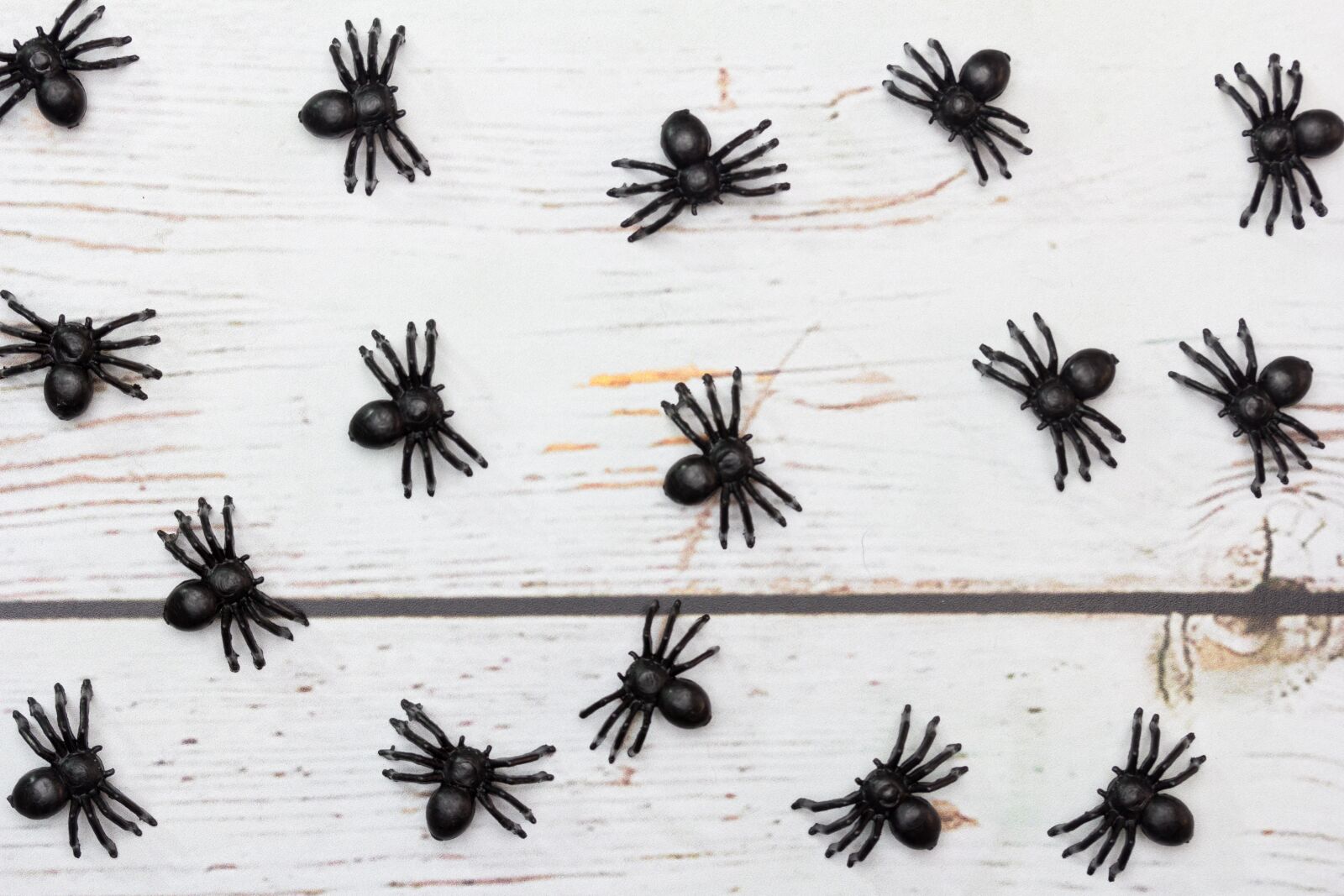 Canon EF-S 60mm F2.8 Macro USM sample photo. Spiders, plastic, toy photography