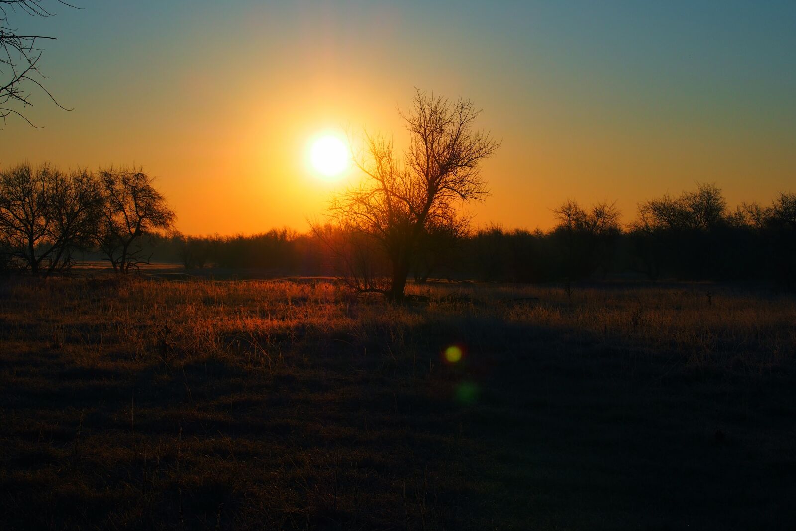 Olympus PEN E-PL6 sample photo. Sunset, field, in the photography