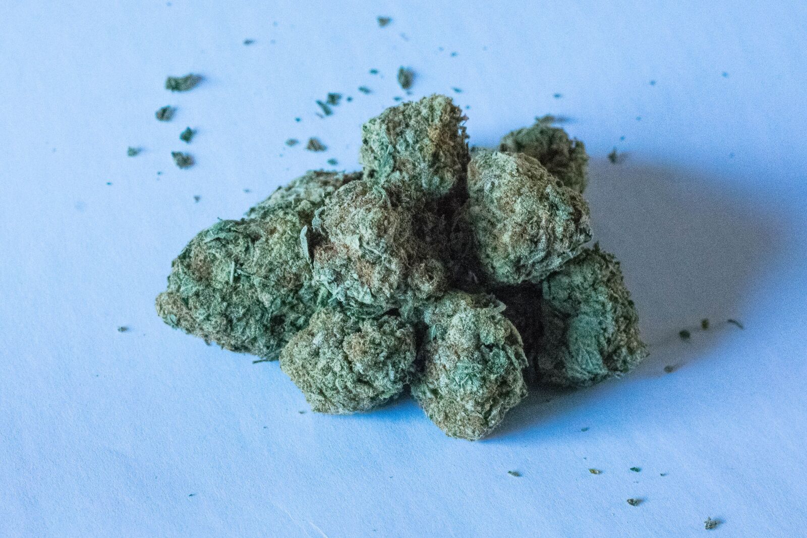 Nikon D3400 sample photo. Marijuana, weed, cannabis photography
