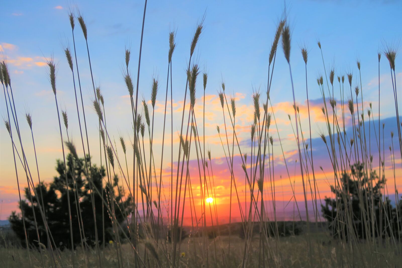 Canon PowerShot G7 X sample photo. Sunset, nature, sky photography