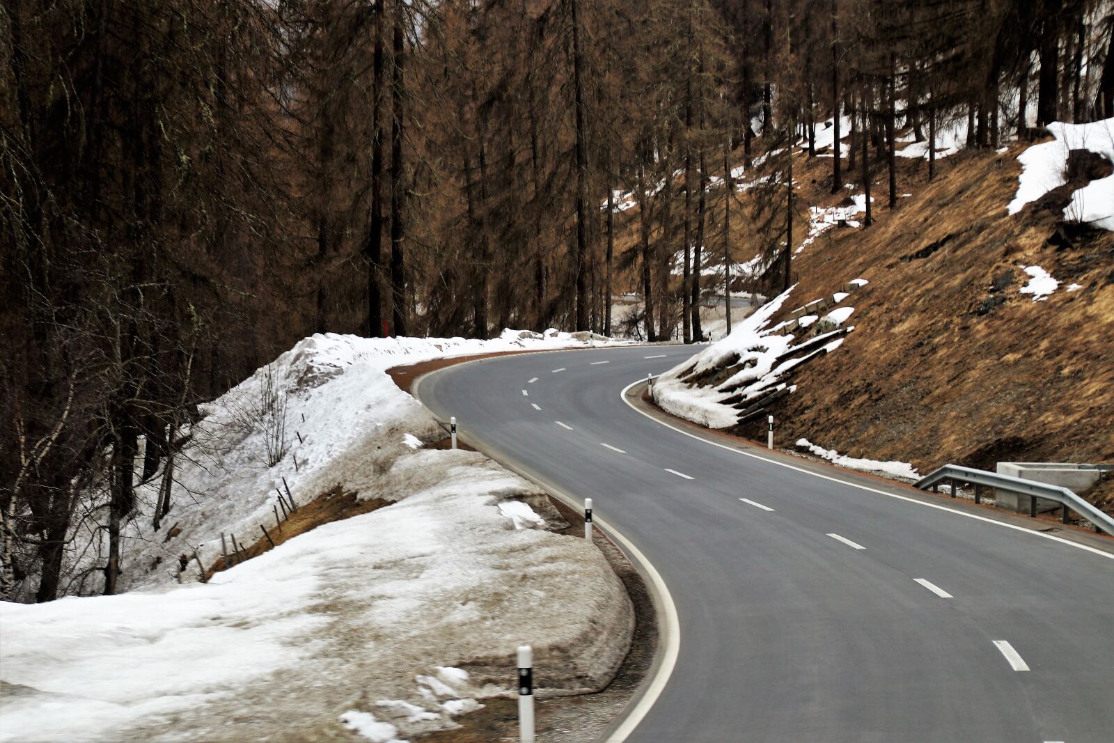 Canon EOS 80D sample photo. Forest, highway, snow photography